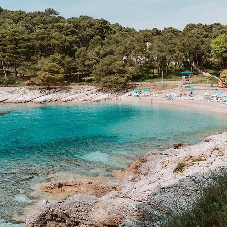 Studio Apartment Pinetree - Mali Losinj Exterior photo